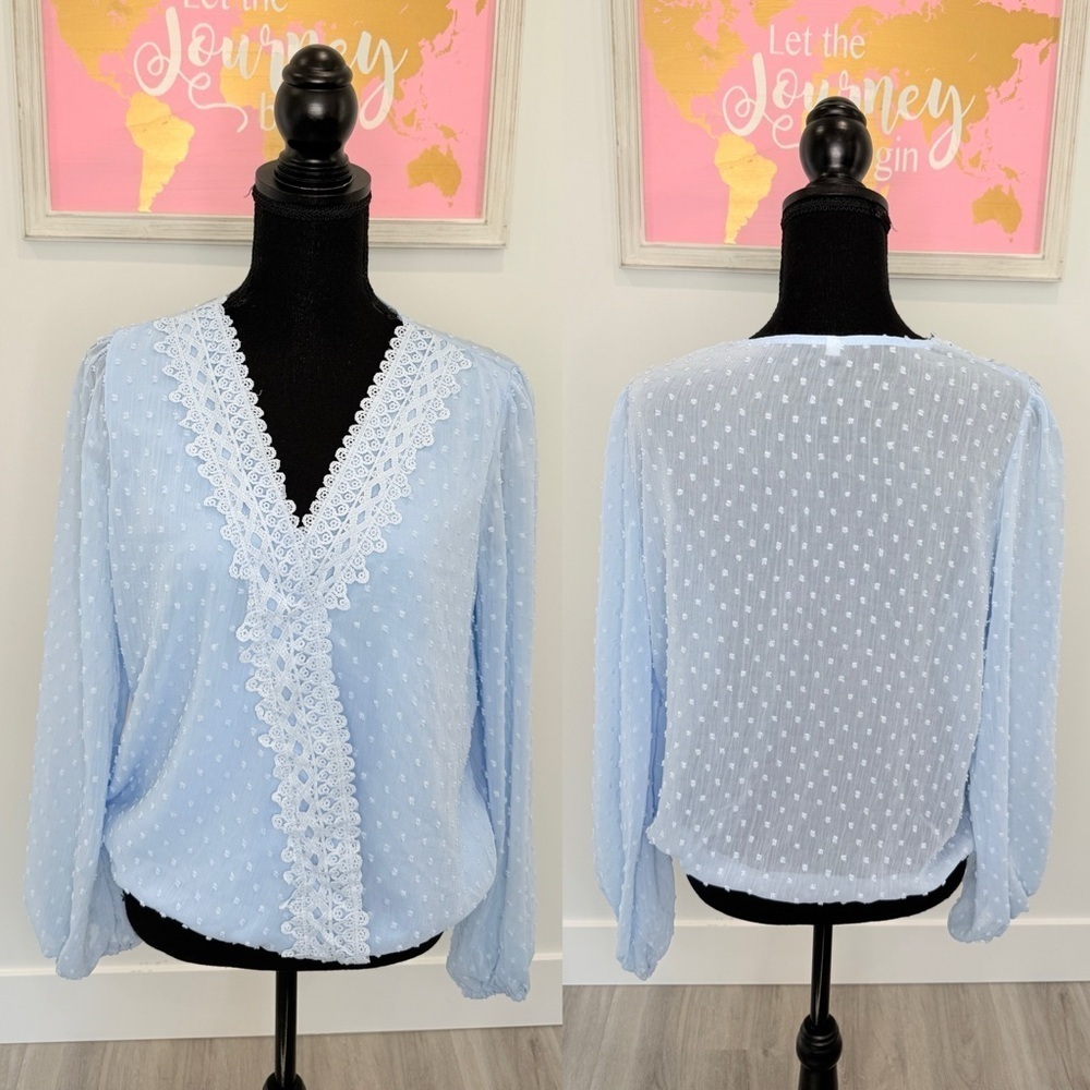 Light Blue V-Neck Long Sleeve Polkadot Sheer-Back Blouse (M)